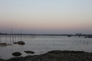 黄昏海港静泊的船只