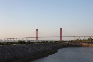 河畔双红塔大桥景观