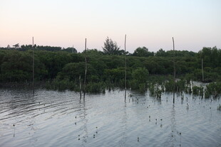 湖畔暮色中的静谧水域