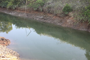 宁静小河畔的自然景致