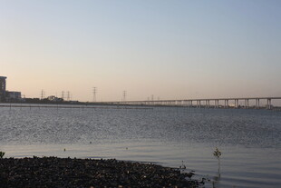 黄昏下的大海桥梁景观