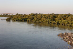 河畔绿意盎然的自然景致