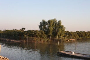 湖畔小船与葱郁树木景观