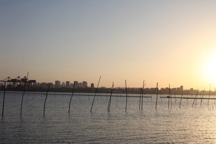 夕阳下的海上养殖场景