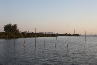 湖畔黄昏静谧水面景象