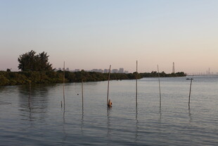 黄昏湖畔宁静景致