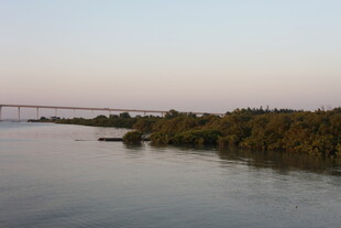 河畔桥梁与葱郁植被景观