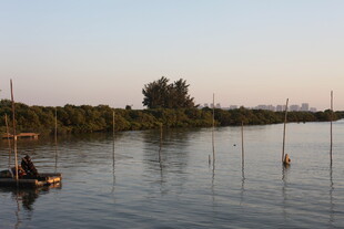 夕阳下的河畔泛舟景象