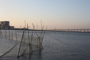 黄昏下的水边芦苇与围栏