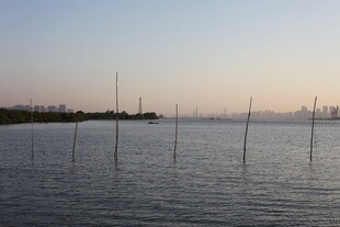 黄昏下的宁静水域景观