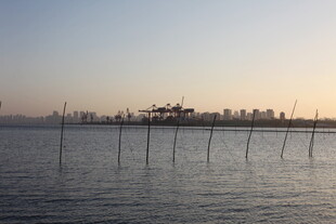 海边日落时的水上木桩景观