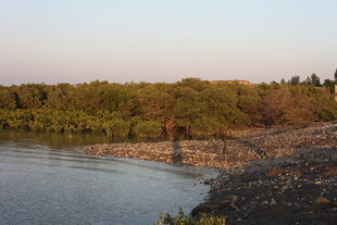 河畔自然风光景色迷人