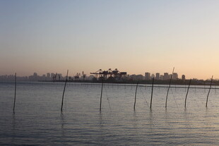 海边日落时的城市与围栏