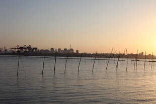 夕阳下的水上养殖场景