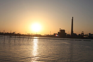 夕阳下的水域与高耸建筑