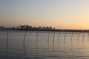 夕阳下的水域与远处城市
