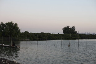 黄昏湖畔围栏与葱郁树木