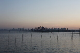 海边日落时的水上桩景