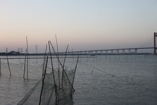 黄昏下的水域与远处桥梁