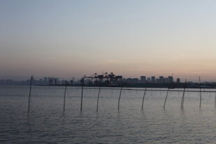 黄昏下的水域与远处城市景