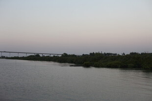 黄昏时分的宁静河岸风光