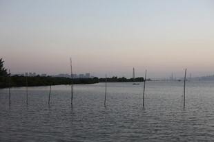 黄昏下的宁静水域景观