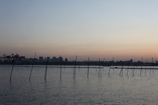 黄昏下的水域与林立桩架