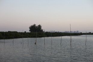 黄昏下的宁静水域