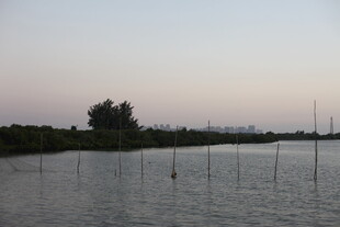 黄昏时的宁静水域景观