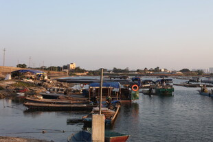 宁静渔村的停泊船只景象