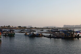 港湾停泊的众多船只