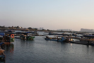 宁静港湾中的停泊船只