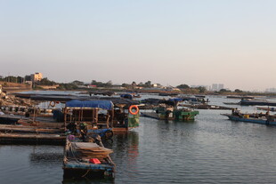 港口停泊的多彩船只