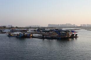 港口停泊的船只景象