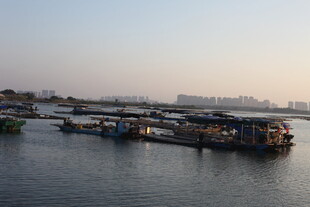 江边停泊的船只景观