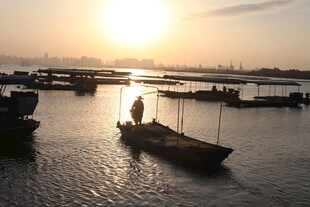 夕阳下的静谧水上渔船