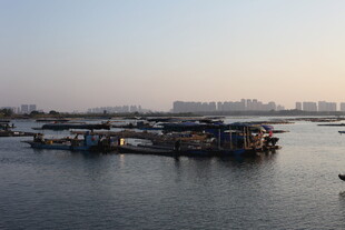 水上停泊的船只景观