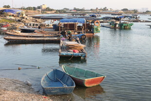 渔村码头停泊的多彩小船