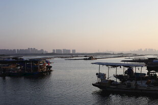 江边停泊的特色船只