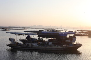 夕阳下的水上船只