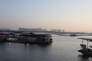 江边停泊的船只景观