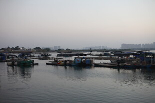 宁静港湾中的停泊船只