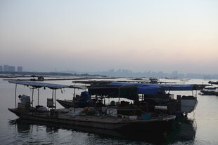 黄昏下的水上停泊船只