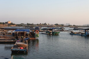 港口停泊的多彩船只