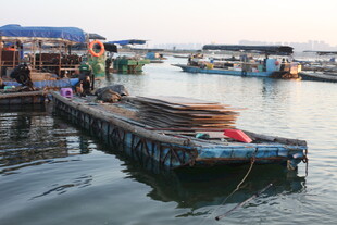 水上渔村码头景象