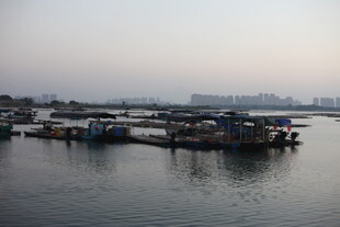 港口停泊船只景象