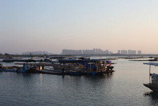 河畔停泊的船只景观