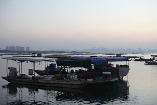 黄昏海港中的停泊渔船