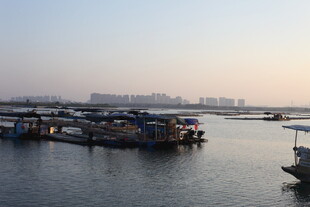 河畔停泊船只的宁静景象