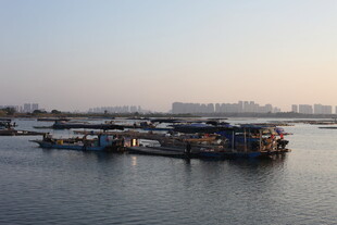 江边停泊的船只景观